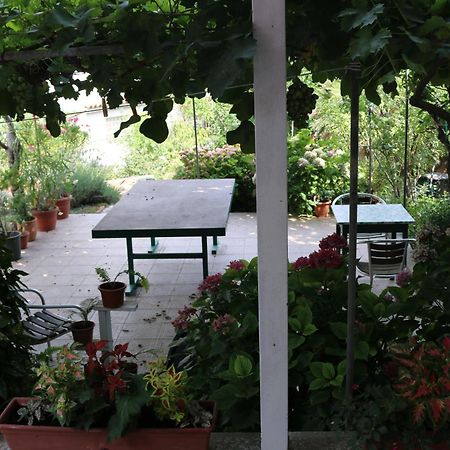Villa Katarina Losinj Island 말리로시니 외부 사진