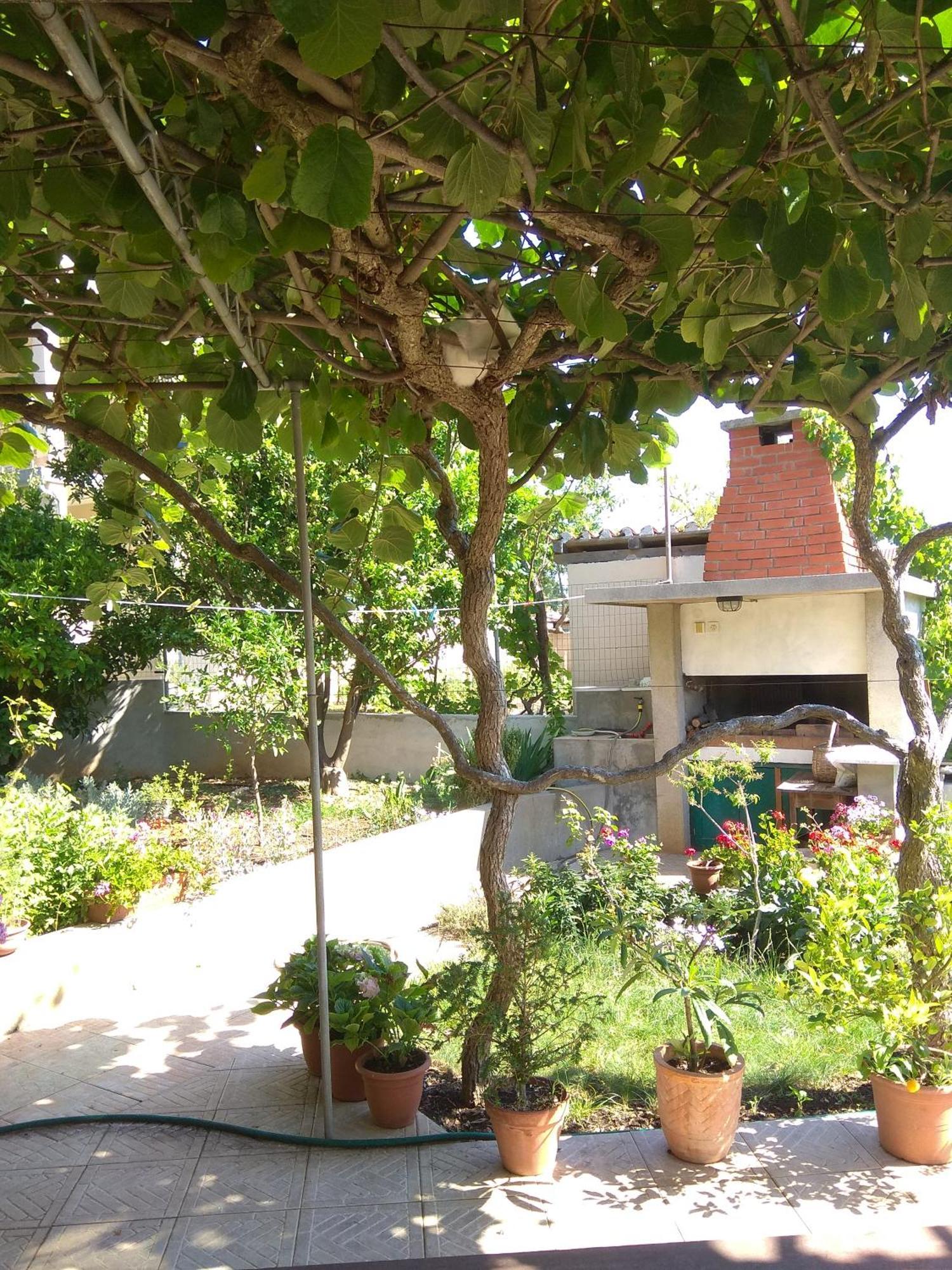 Villa Katarina Losinj Island 말리로시니 외부 사진