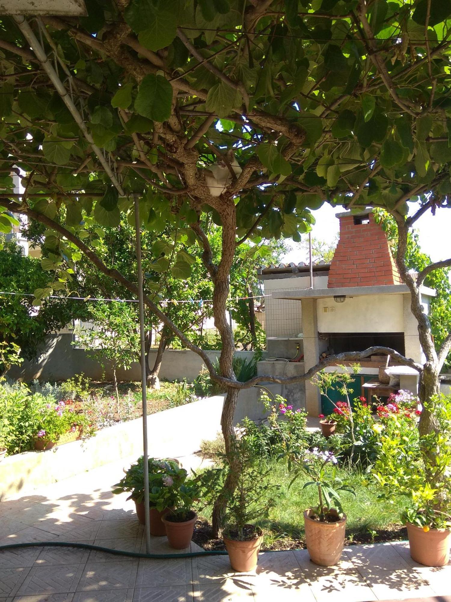 Villa Katarina Losinj Island 말리로시니 외부 사진