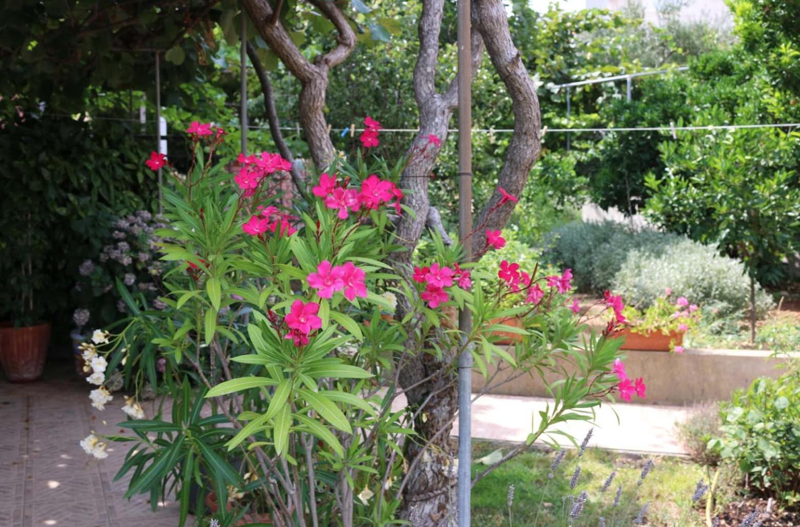 Villa Katarina Losinj Island 말리로시니 외부 사진